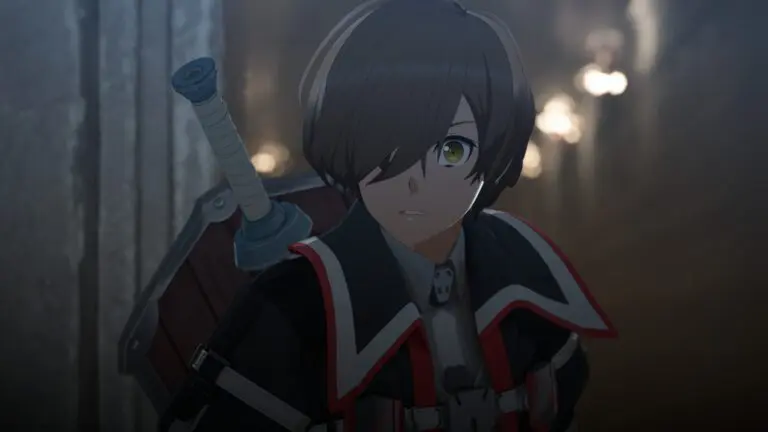 Character in Sword Art online Exhoes of Aincrad with a sword on shield on their back.