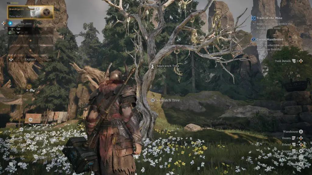 Mistfall Hunter Camp Soulcatch Tree