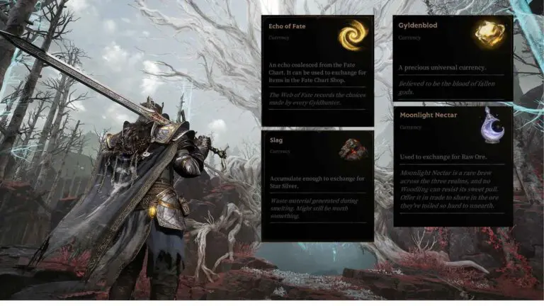 Mistfall Hunter Currencies Feature