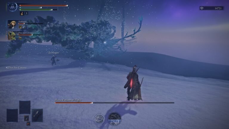 A screenshot from the Augur boss fight in Elden Ring Nightreign